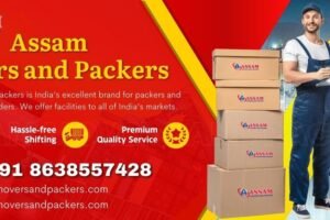 Assam Movers and Packers Williamnagar
