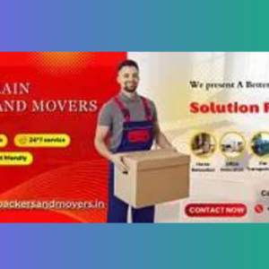 Brain Packers and Movers