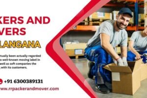 RR Packers And Movers BHEL