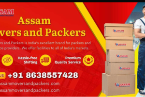 Assam Movers and Packers Mizoram
